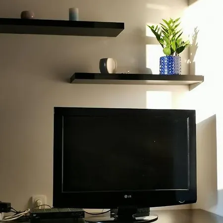 Luminii *